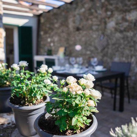 Gardenhouse Sarzana Lägenhet Exteriör bild