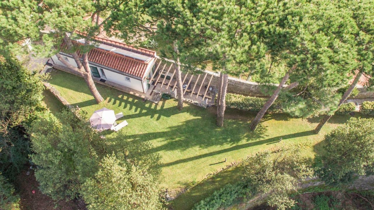 Gardenhouse Sarzana Lägenhet Exteriör bild